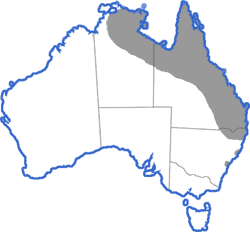 Distribution map for Bufo marinus