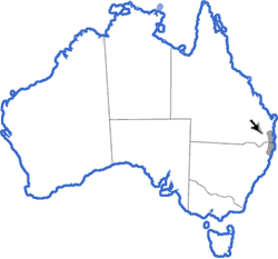Distribution map for Litoria olongburensis
