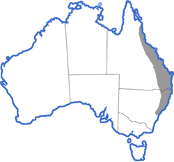 Distribution map for Litoria wilcoxi