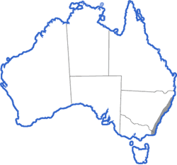 Distribution map for Mixophyes balbus