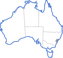 Distribution map for Pseudophryne australis