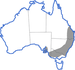 Distribution map for Pseudophryne bibroni