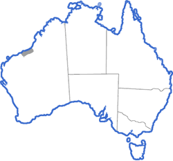 Distribution map for Uperoleia glandulosa
