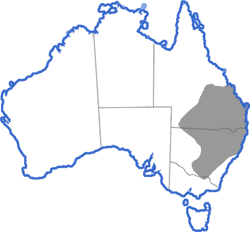 Distribution map for Uperoleia rugosa