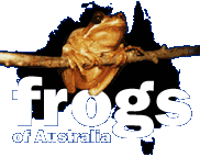 The Frogs of Australia