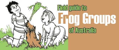 Field Guide to Frogs Groups of Australia