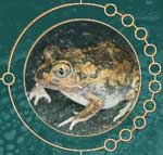 Logo for EPA Frog Census